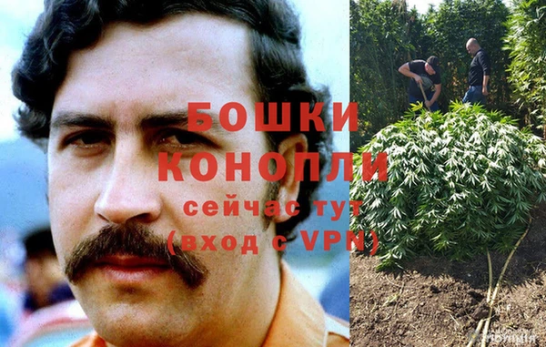 молекула духа Белоозёрский