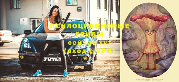 соль курить ск Белокуриха