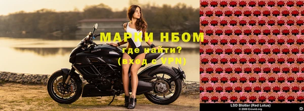 молекула духа Белоозёрский