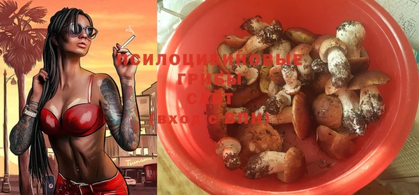 соль курить ск Белокуриха