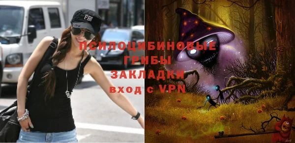 молекула духа Белоозёрский