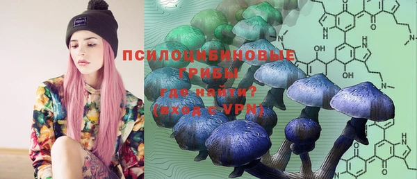 соль курить ск Белокуриха