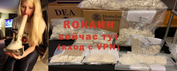 стаф Богородицк